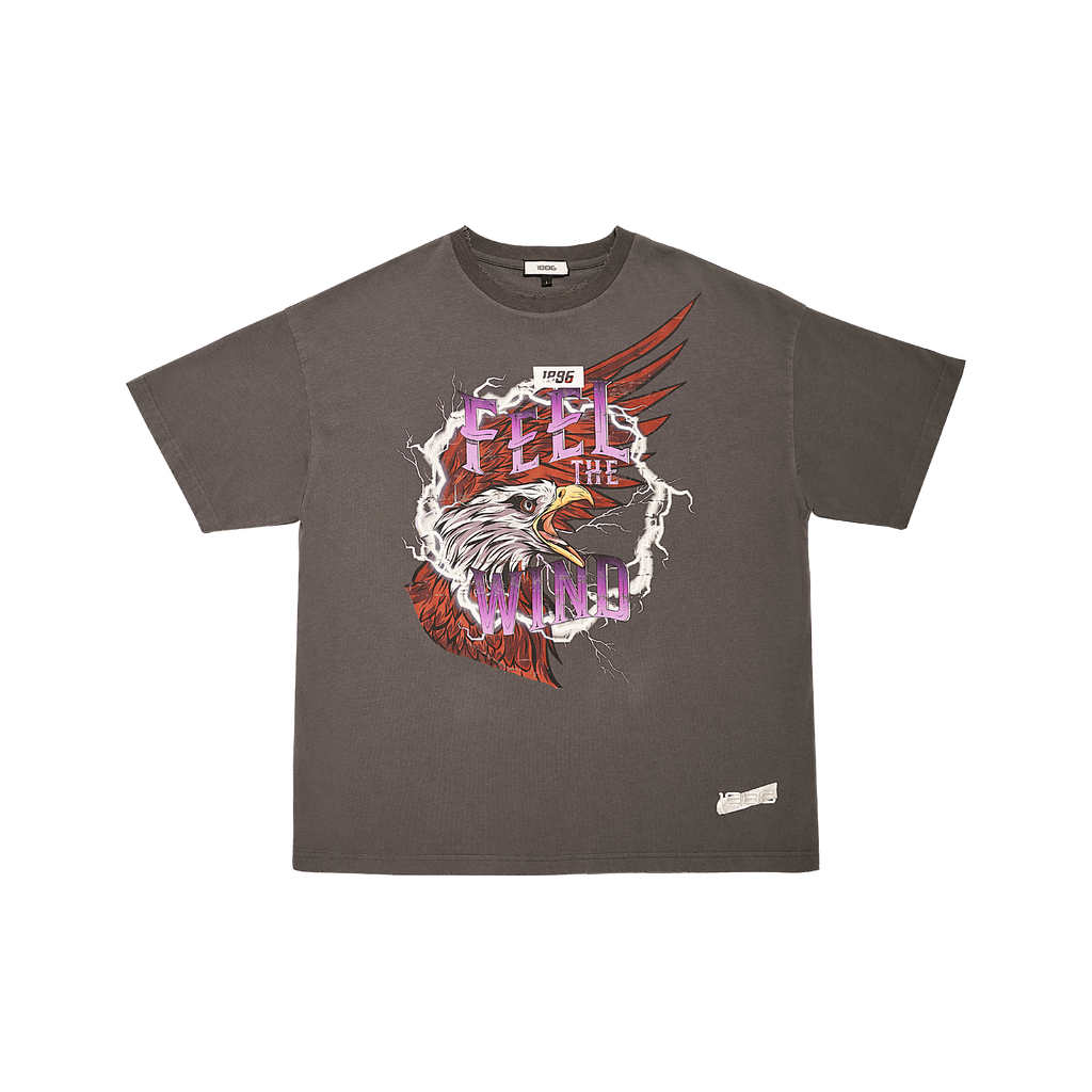 GRAPHIC T-SHIRT- GREY